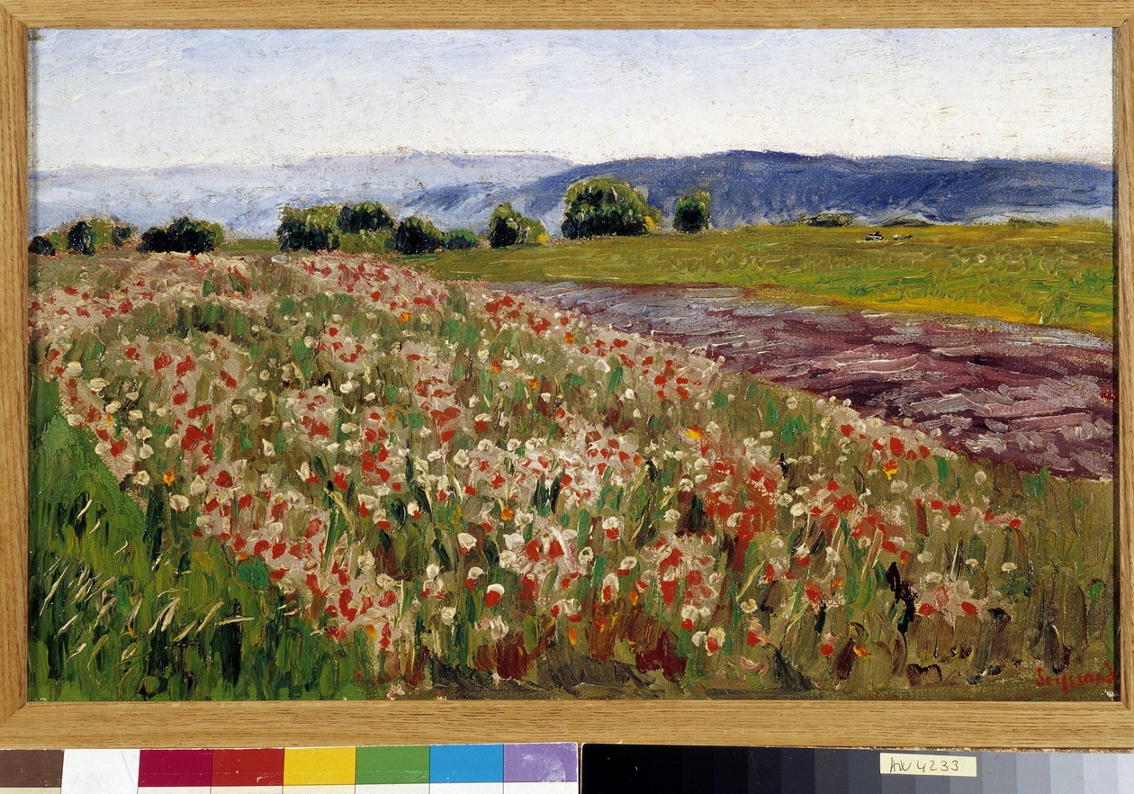 El campo de amapolas (pintura) de Rene Auguste Seyssaud