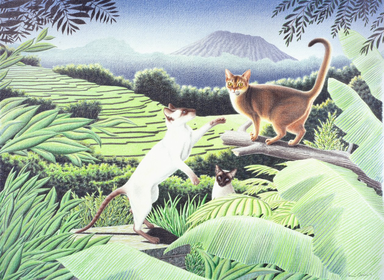 Bali, 2002, Dibujo a lápiz de color sobre papel de Rene Boin