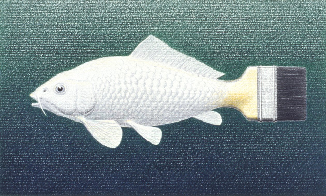 Brushfish, 2003, Dibujo a lápiz de color sobre papel de Rene Boin