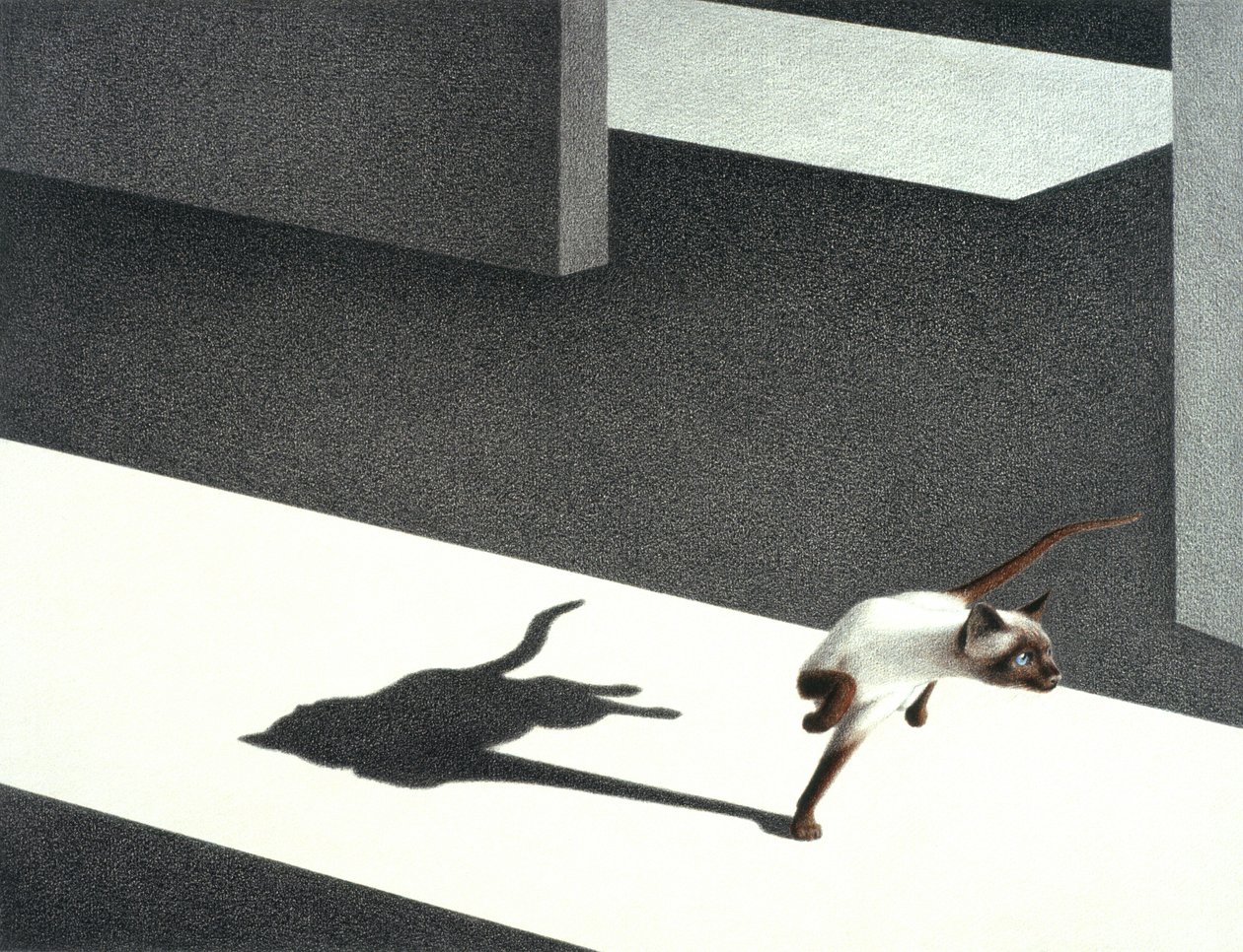 Esquina de Rene Boin