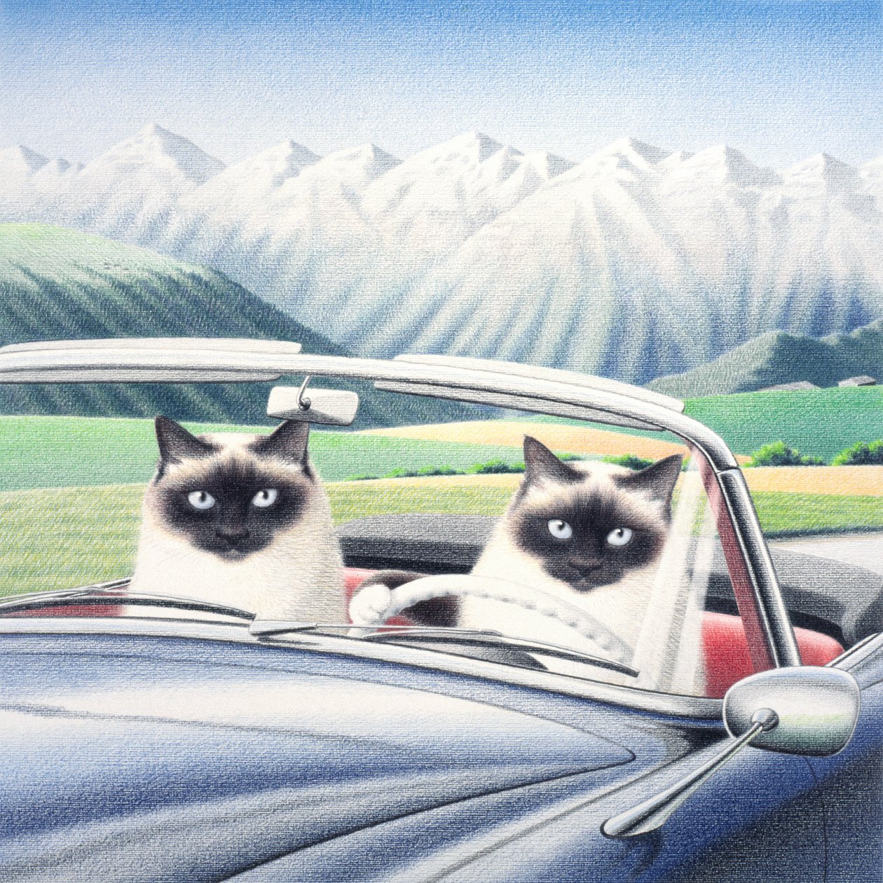 Conducir por de Rene Boin