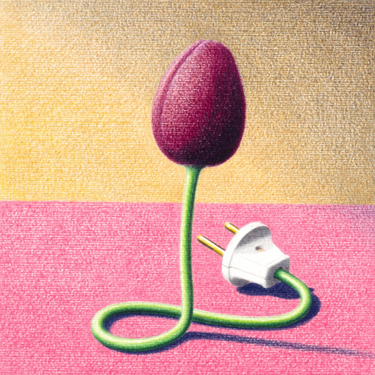 Tulipán eléctrico de Rene Boin