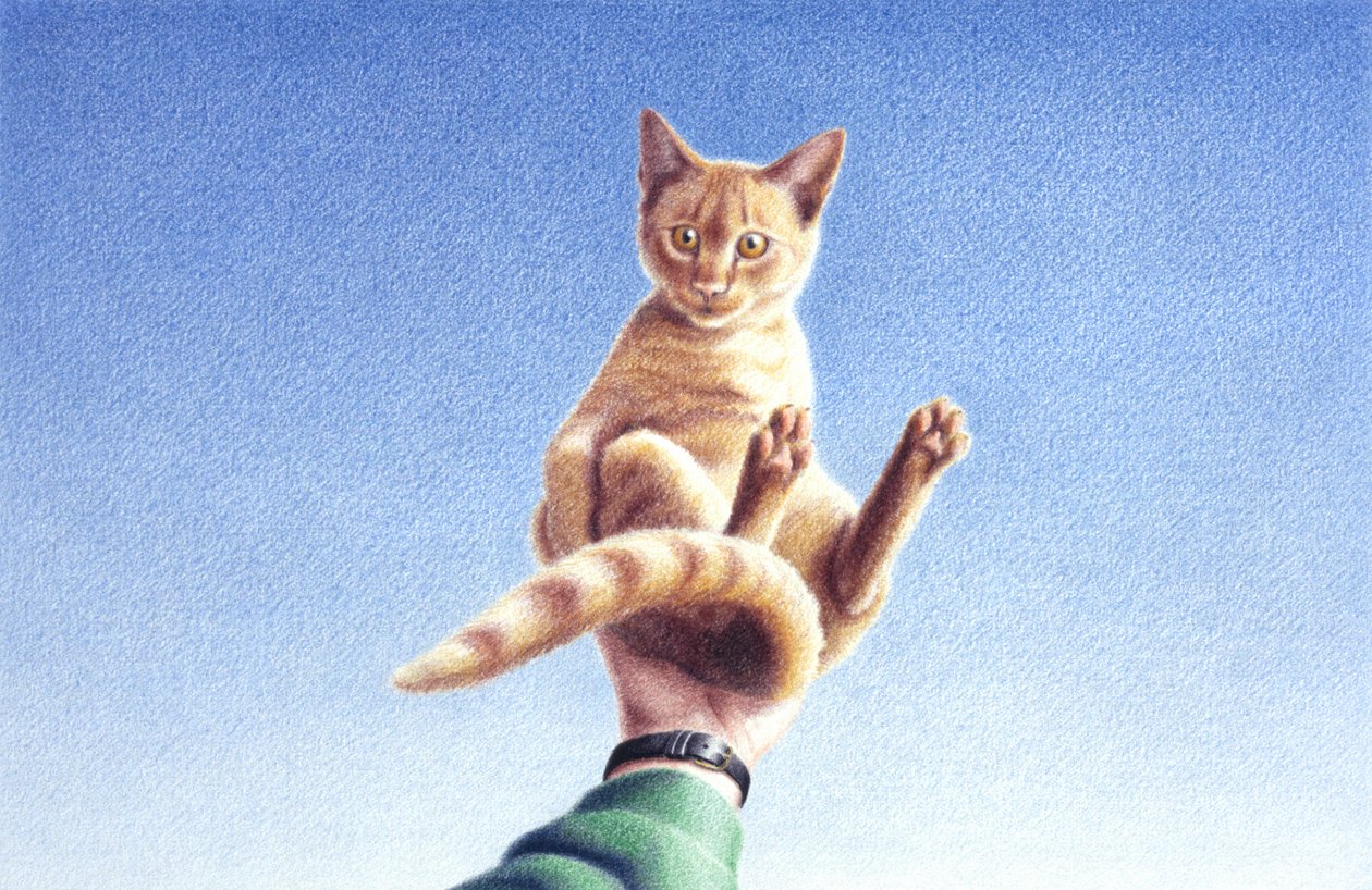 Handfull de Rene Boin