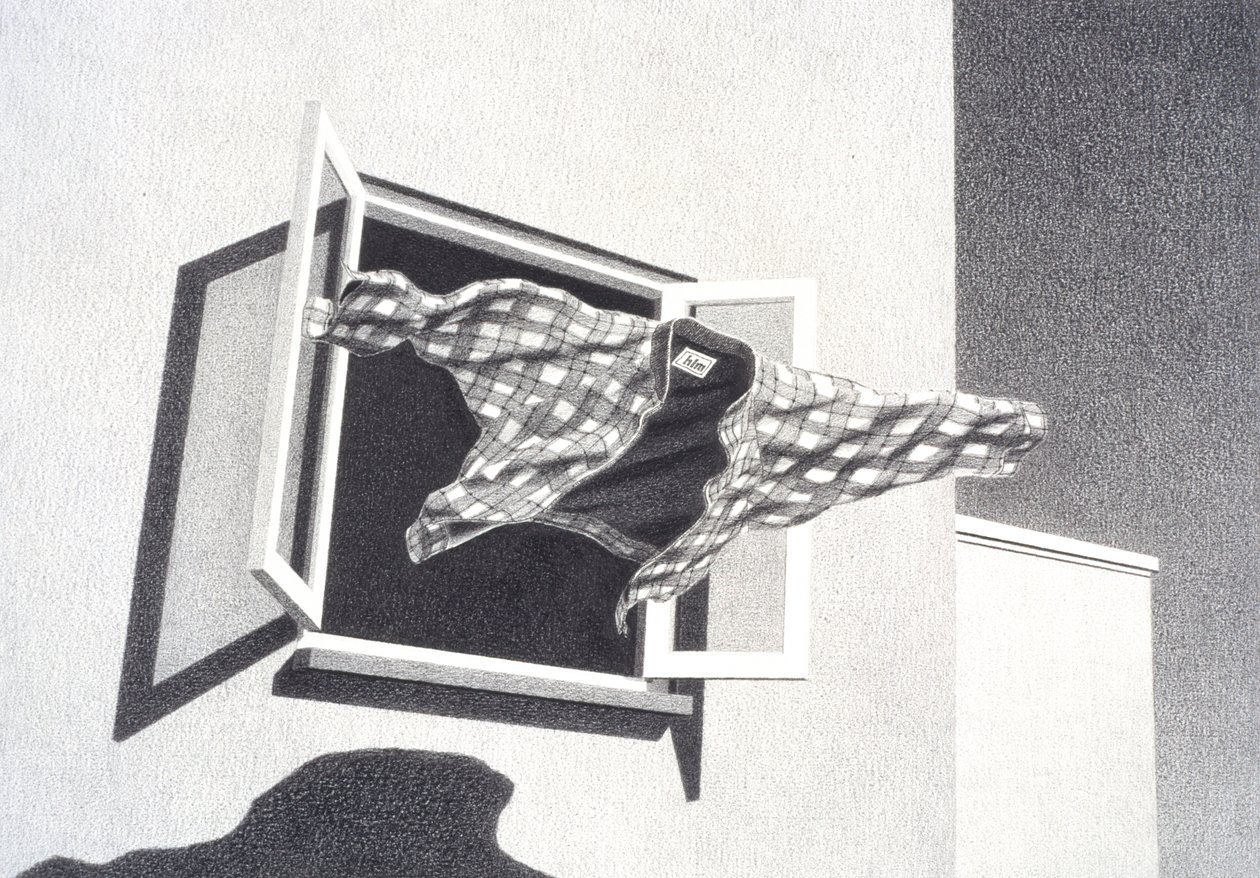 Salto al vacío de Rene Boin