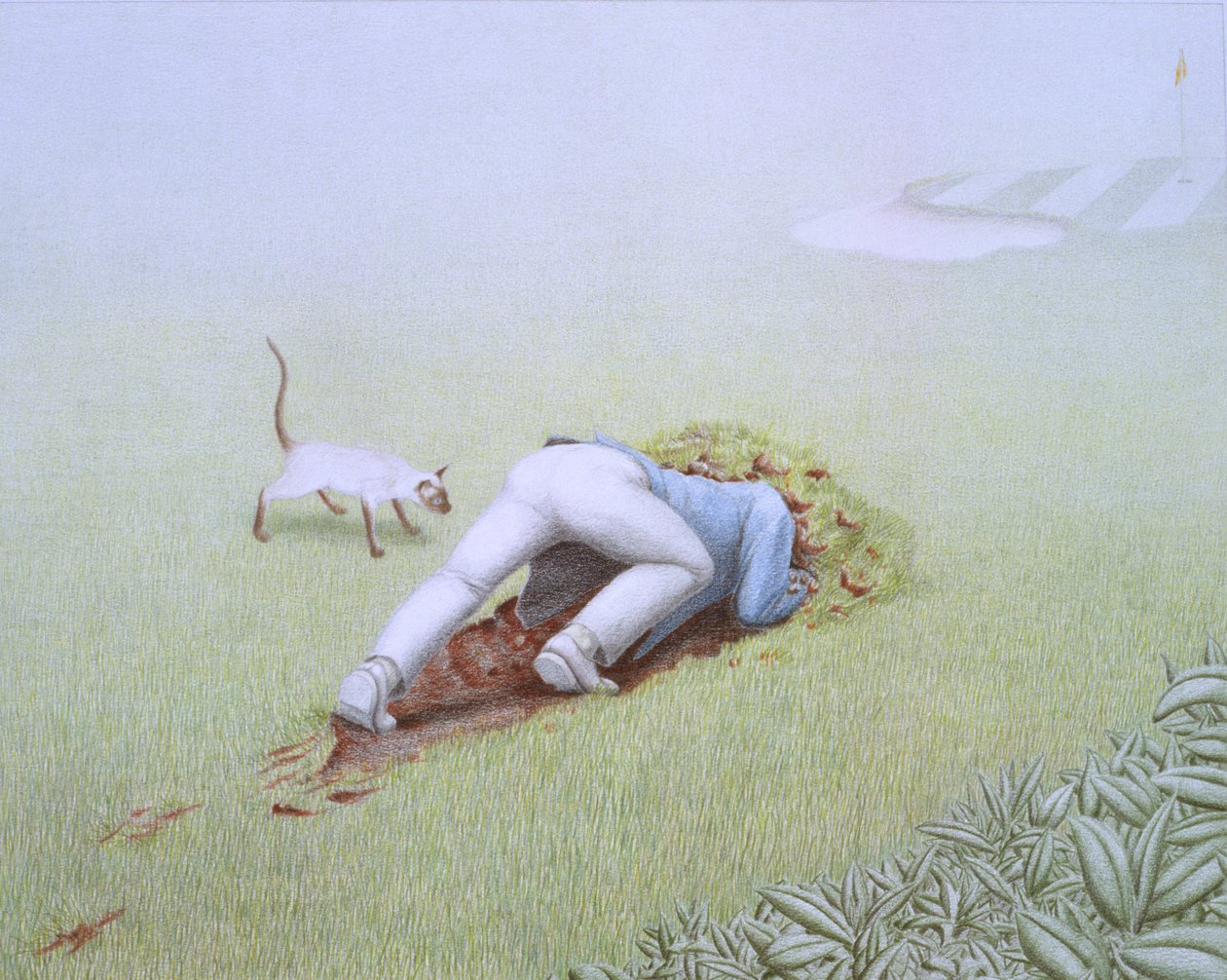 Bajo de Rene Boin