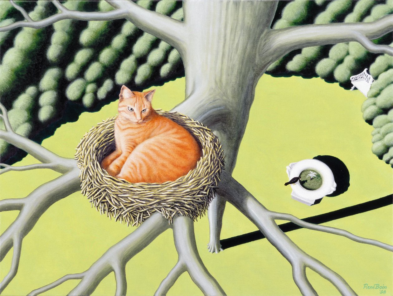 Nido de Rene Boin