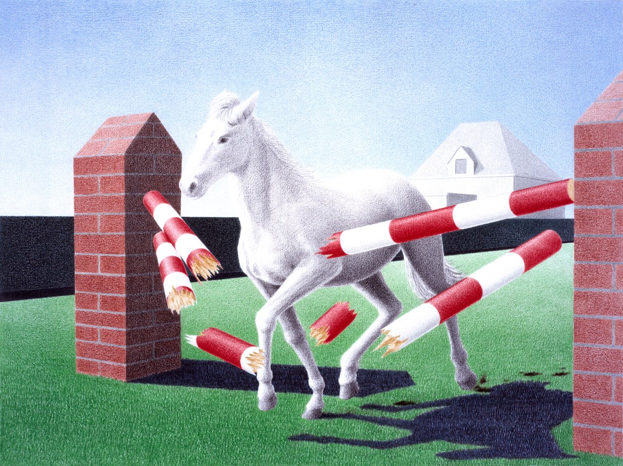 Obstáculo, 2004, Dibujo a lápiz de color sobre papel de Rene Boin