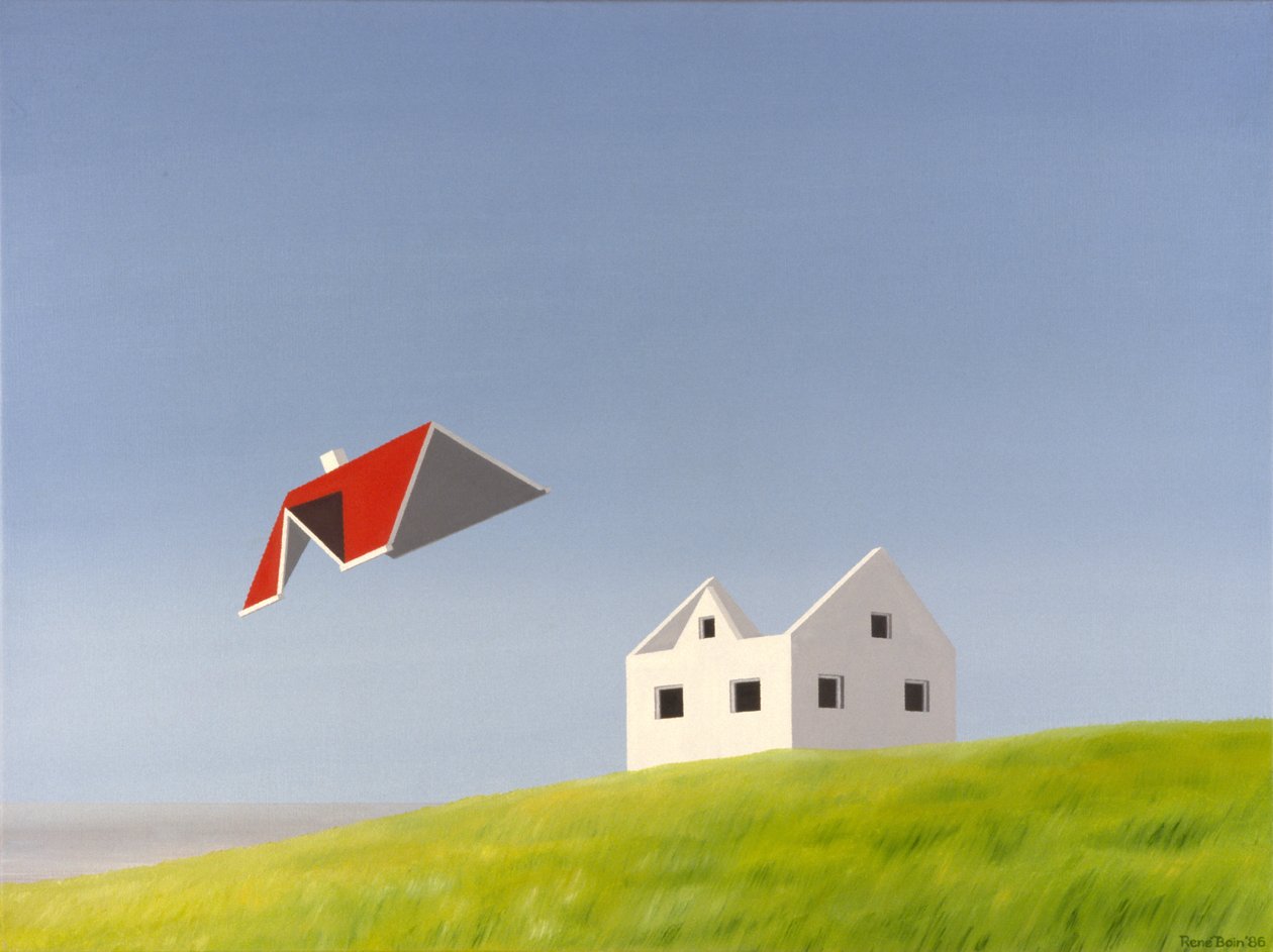Techo de Rene Boin
