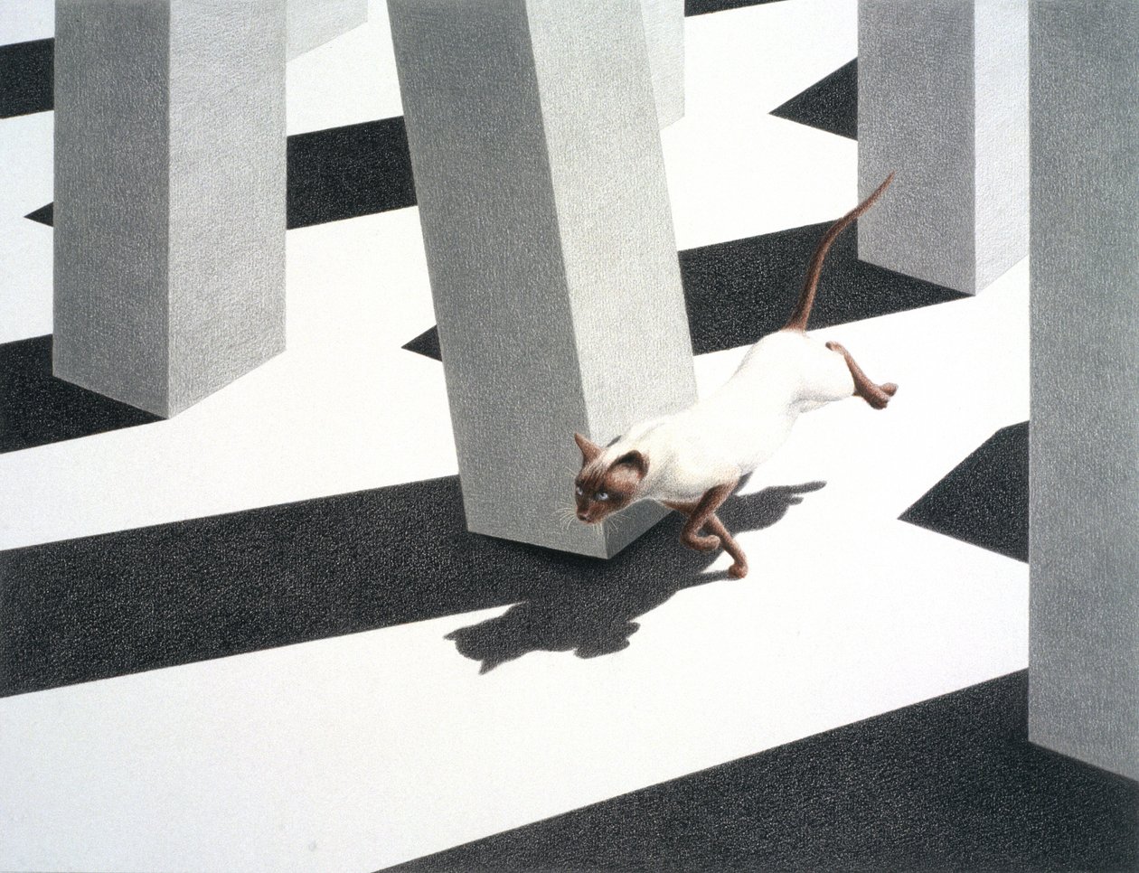 Ejecutar de Rene Boin