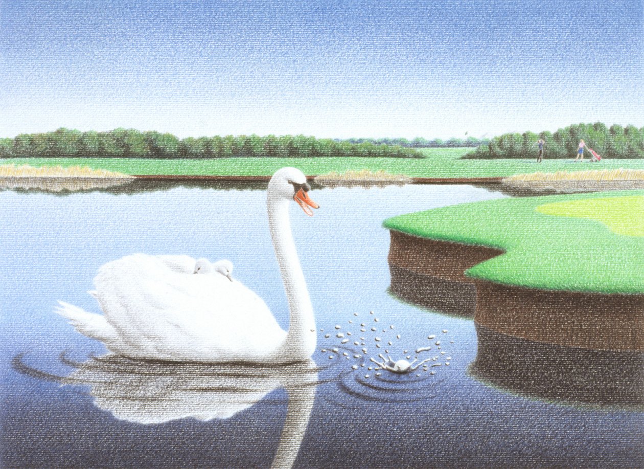 Salpicaduras de Rene Boin