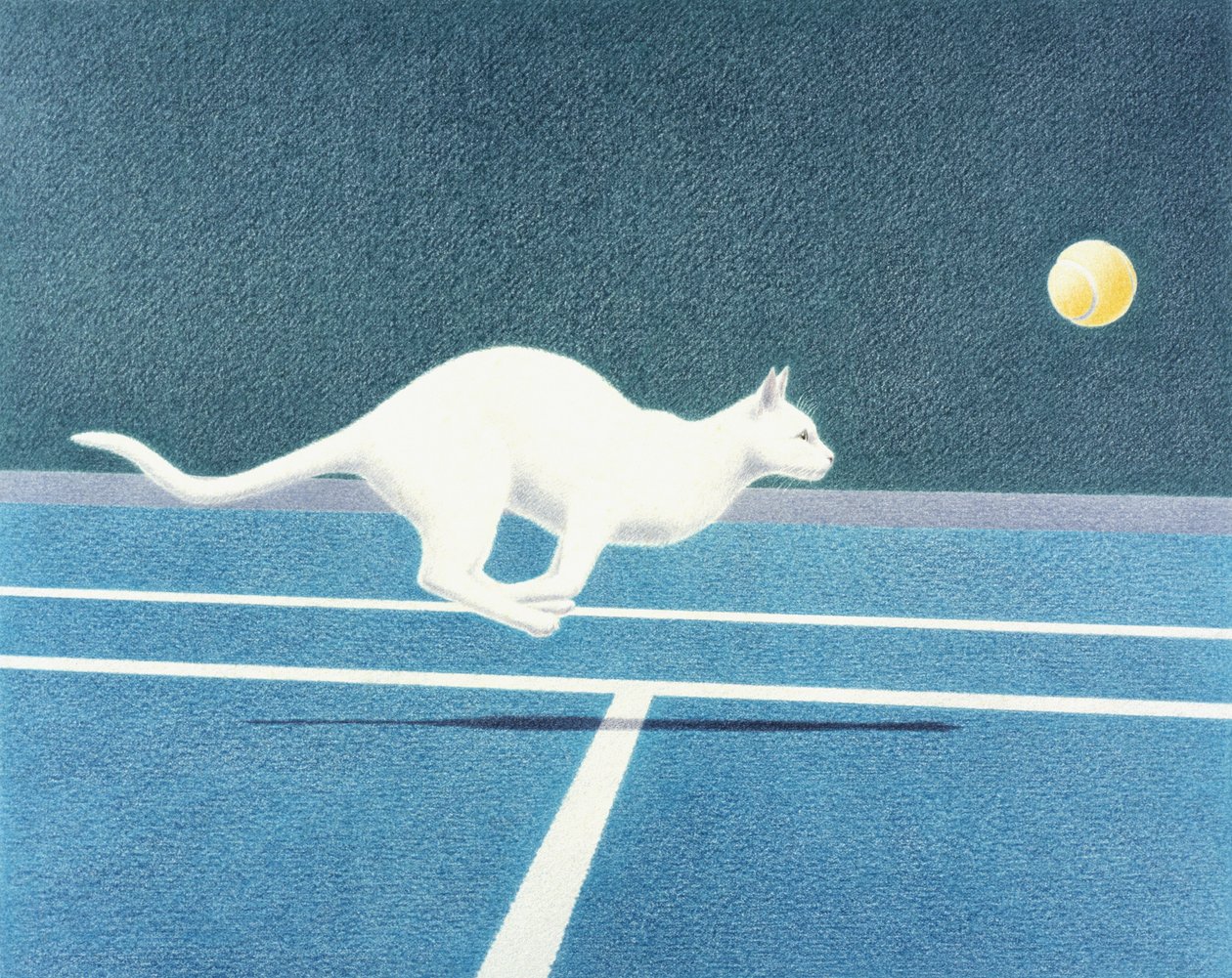 Tenis de Rene Boin
