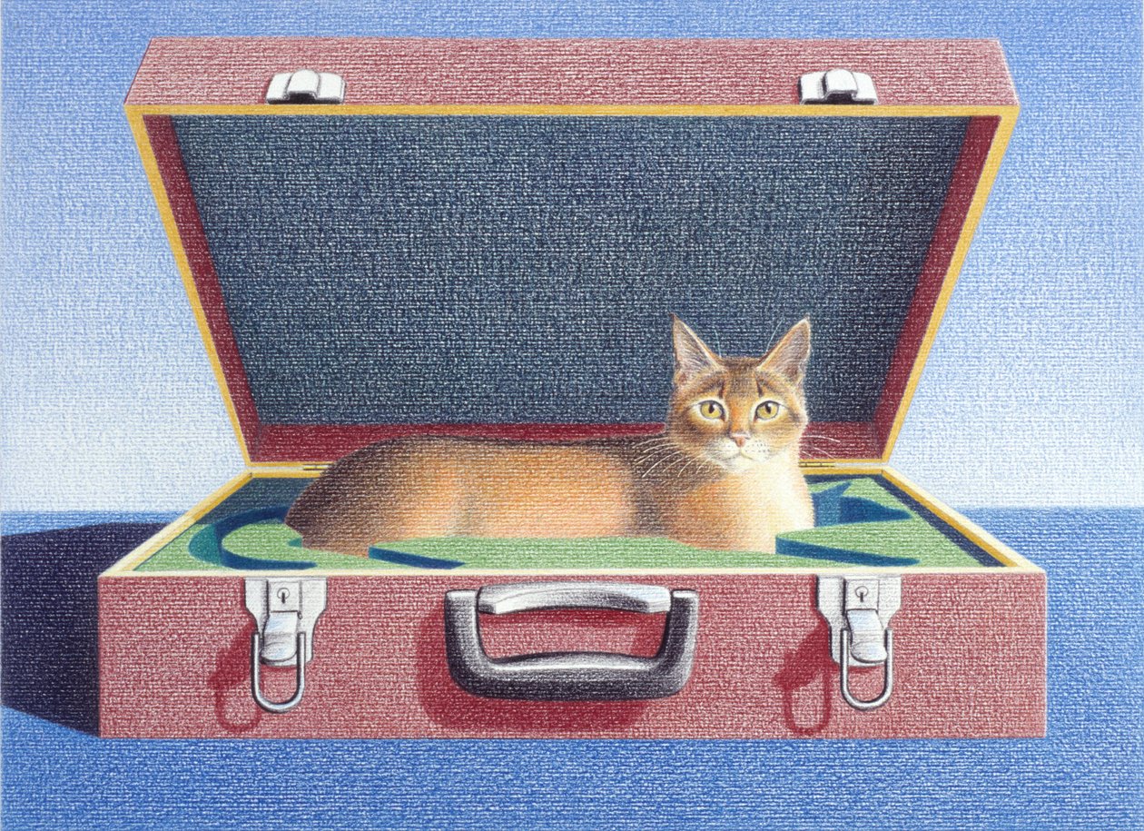Maleta de viaje 2 de Rene Boin