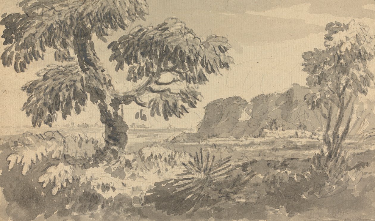 Paisaje con dos árboles y acantilado de Rev. William Gilpin