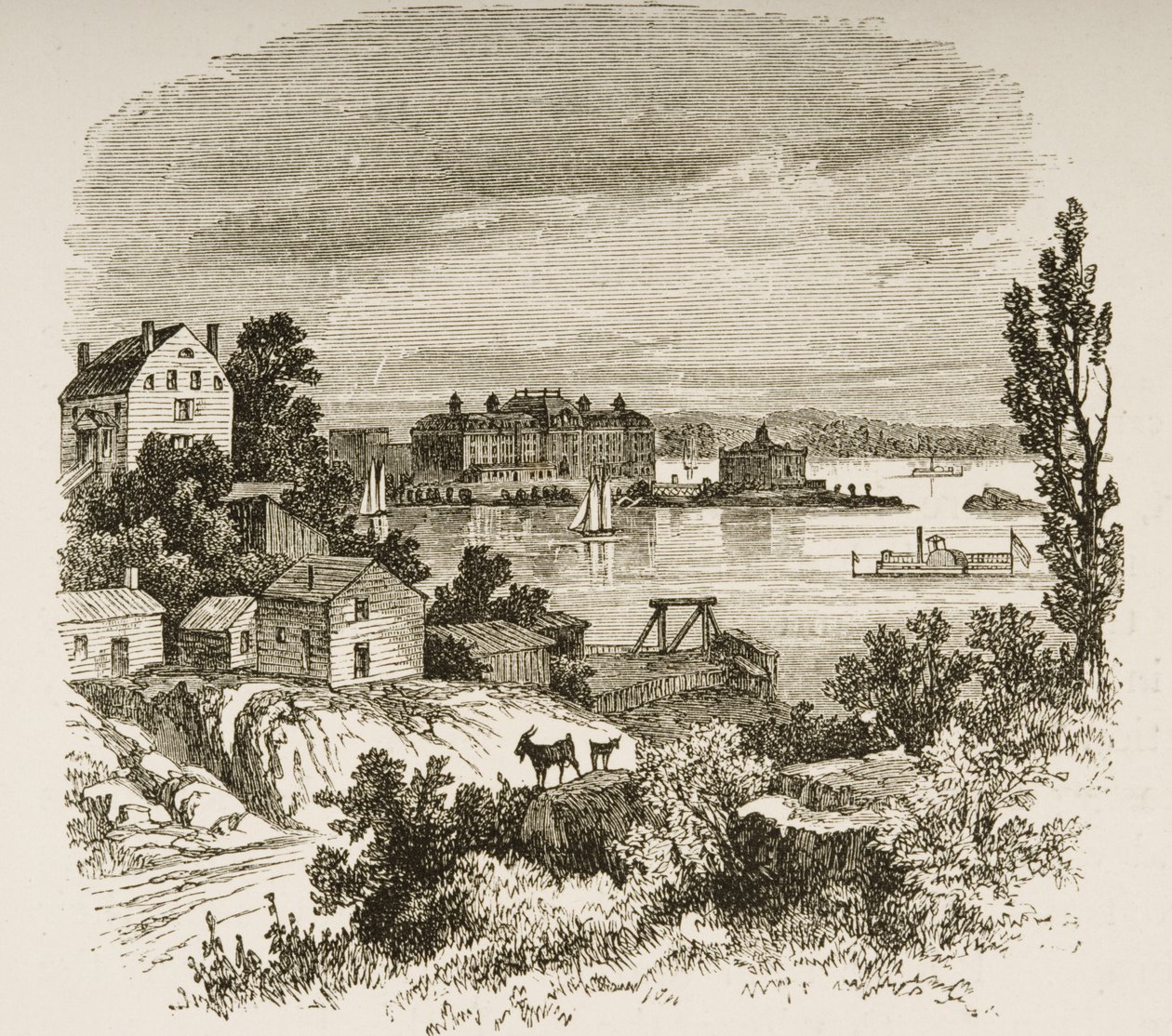 Turtle Bay y Blackwells Island, Nueva York, c.1880 de Reverend Samuel Manning