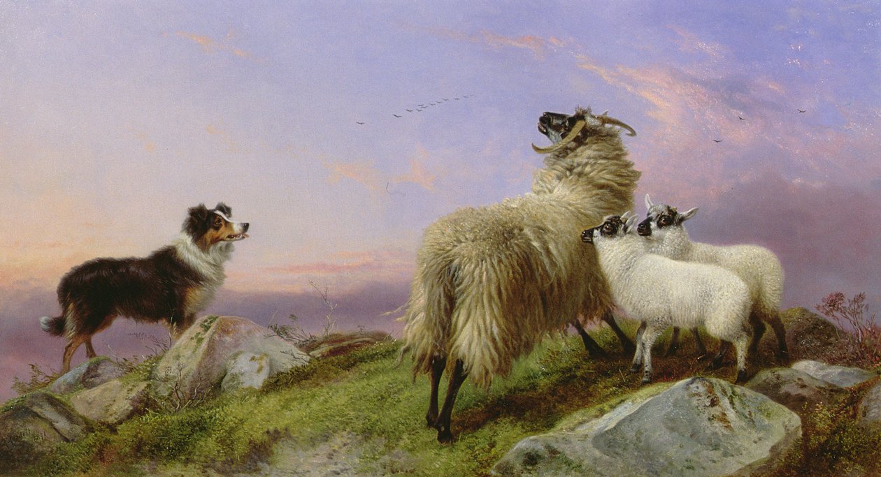 Collie, oveja y corderos de Richard Ansdell