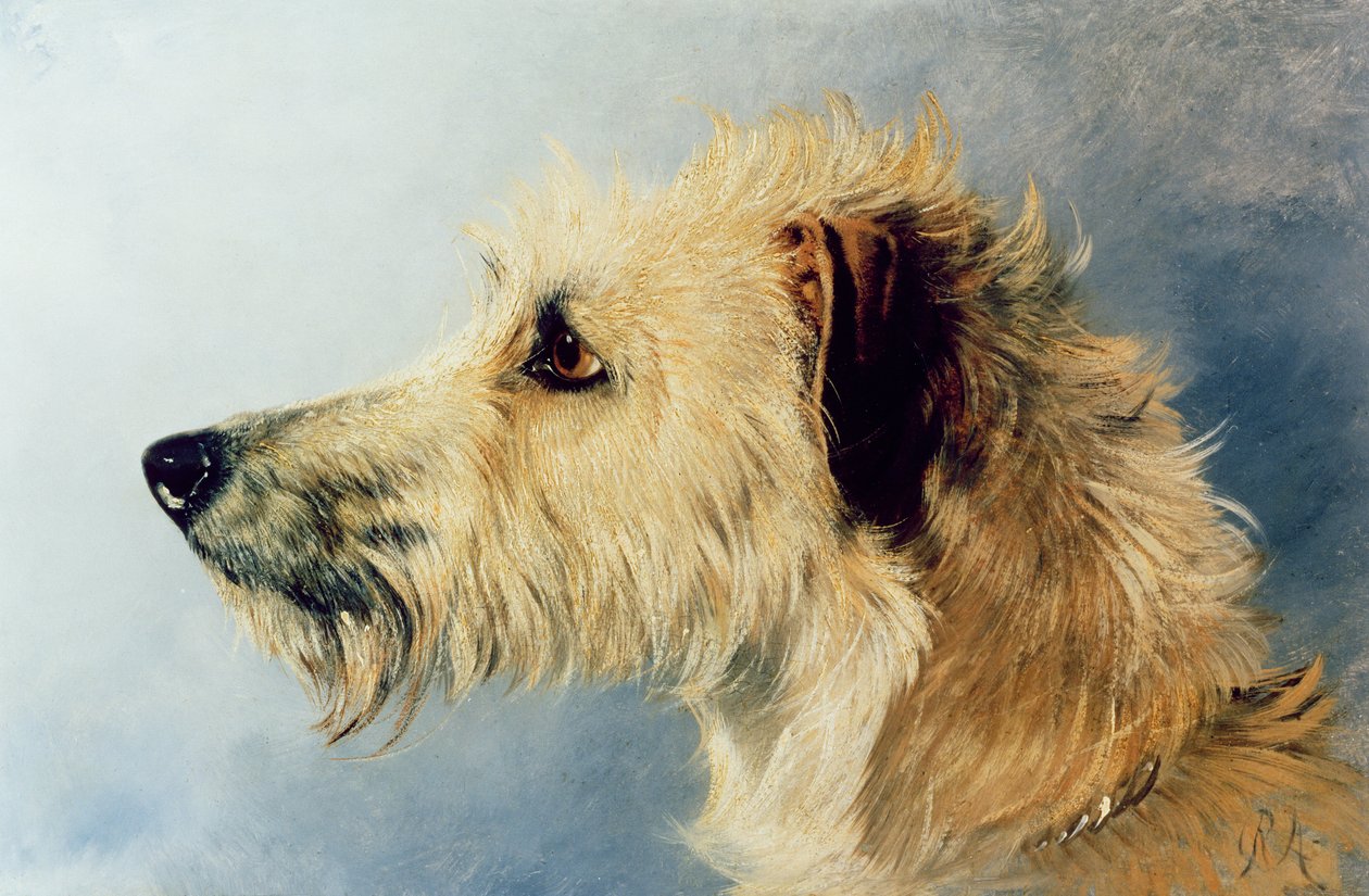 Cabeza de un Perro de Richard Ansdell