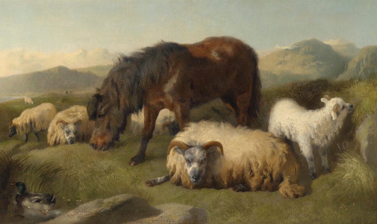 Cabras, ovejas y un pony de Richard Ansdell