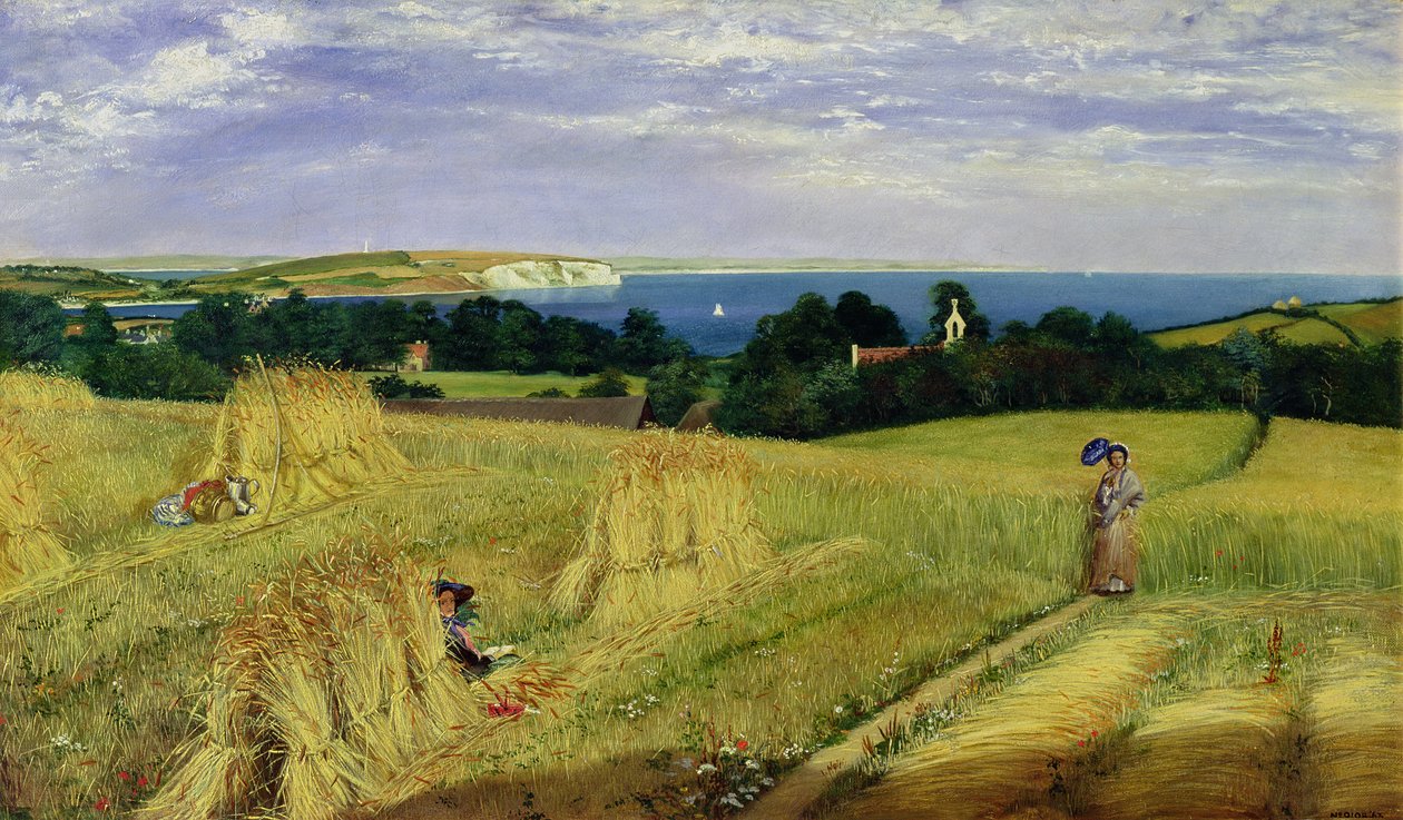 Campo de maíz en la Isla de Wight de Richard Burchett