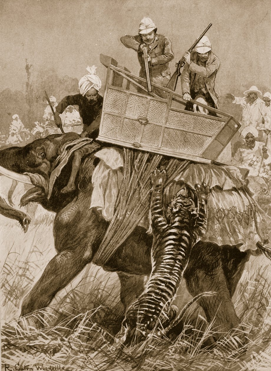 La visita del Príncipe de Gales a la India, 1876: El elefante del príncipe atacado por un tigre en el Terai de Nepal, 21 de febrero, de 