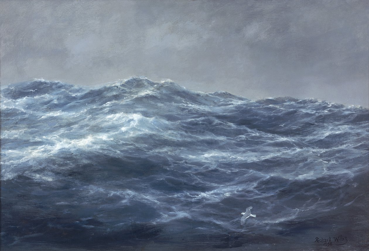 El camino de la gaviota de Richard Willis