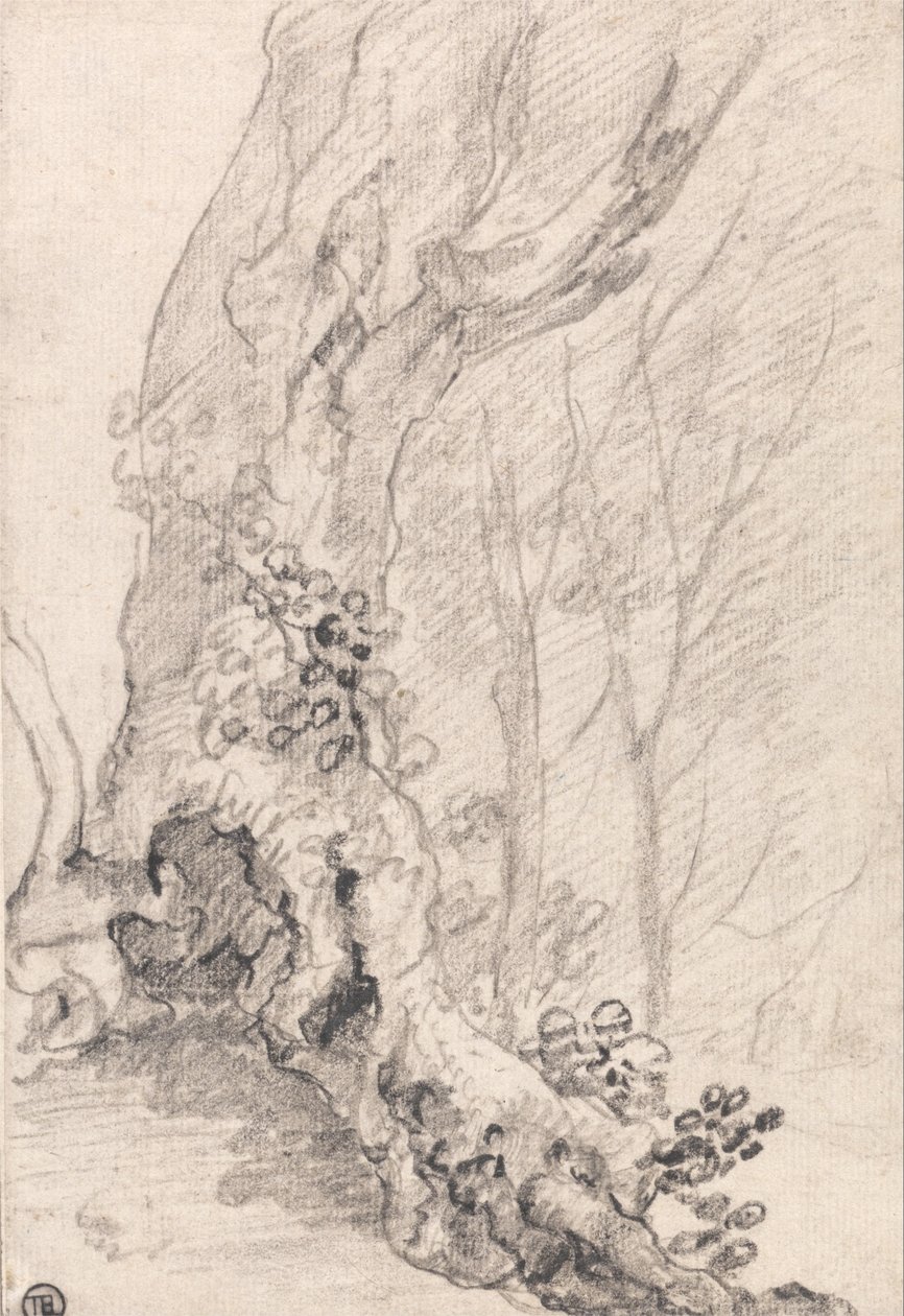 Estudio de un viejo tronco de árbol y raíces cubiertas de enredaderas de Richard Wilson