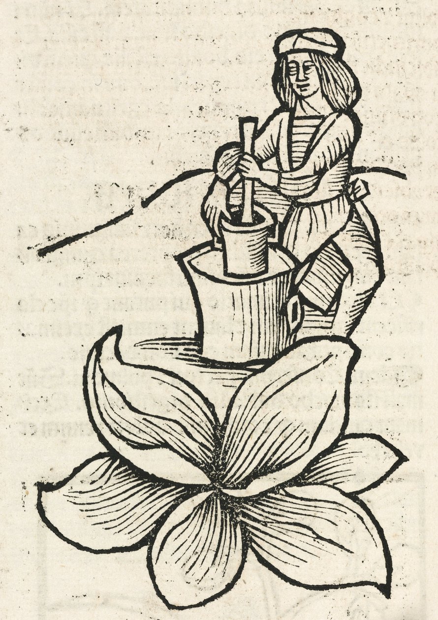 Hombre medieval usando un mortero para triturar plantas de John Pardon