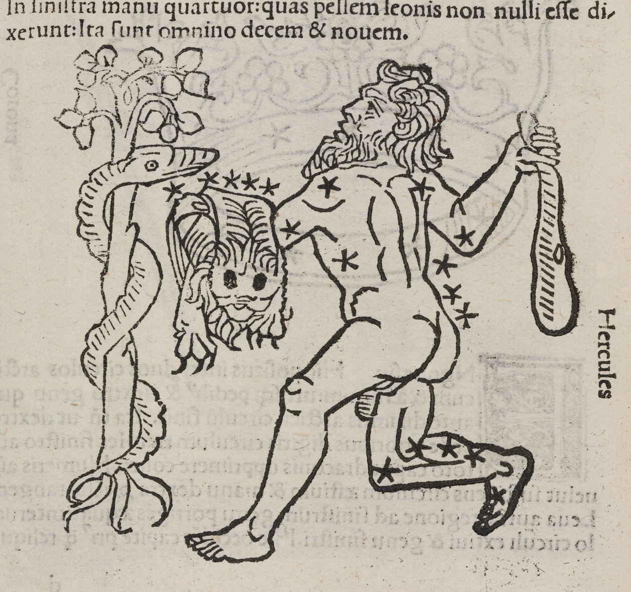 La constelación de Hércules de John Pardon