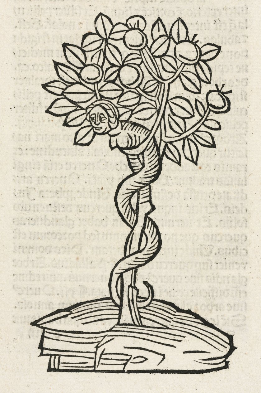 La serpiente en el árbol del conocimiento de John Pardon