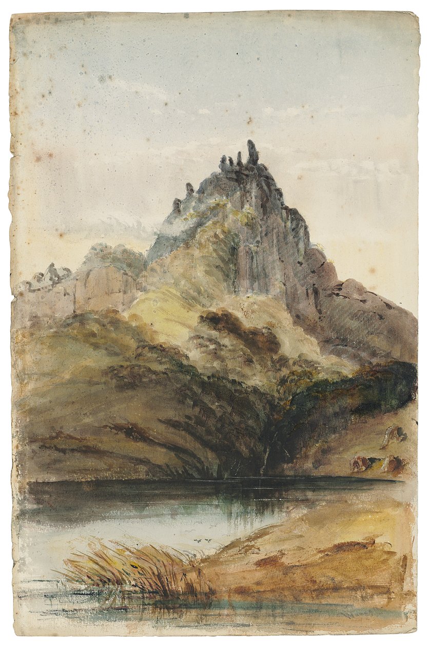 Página de "Sketches in New Zealand" (acuarela sobre papel) de Richard Aldworth Oliver