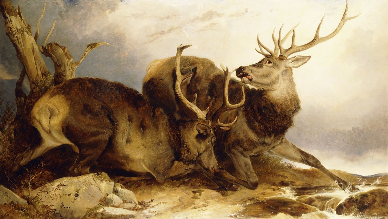 El Combate, 1847 de Richard Ansdell