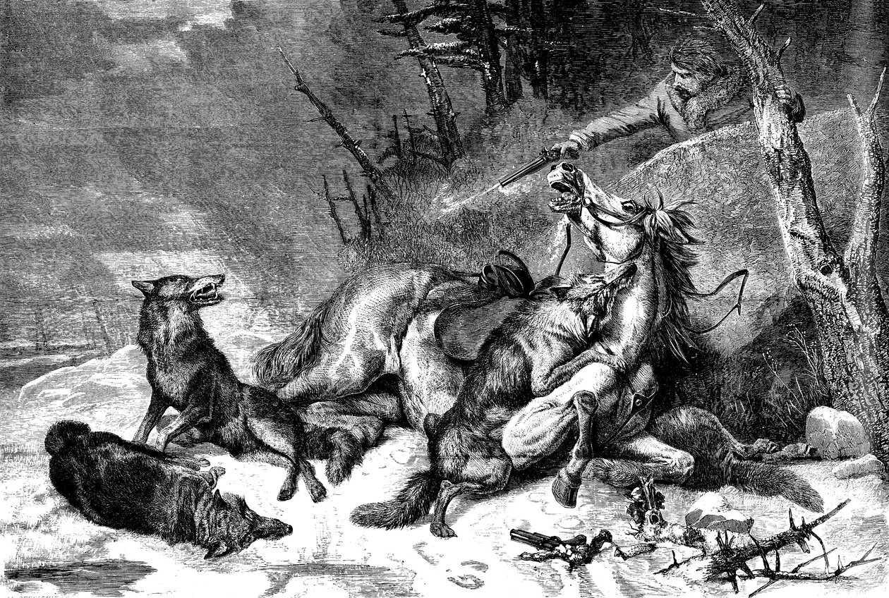 Viajero a caballo atacado por una manada de lobos de Richard Ansdell