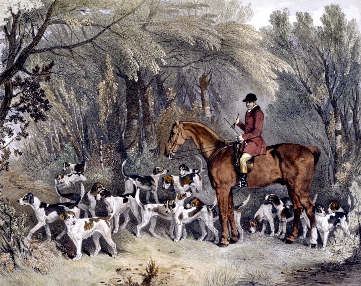 W. Head, Cazador de los Donnington Hounds de Richard Barrett (after) Davis