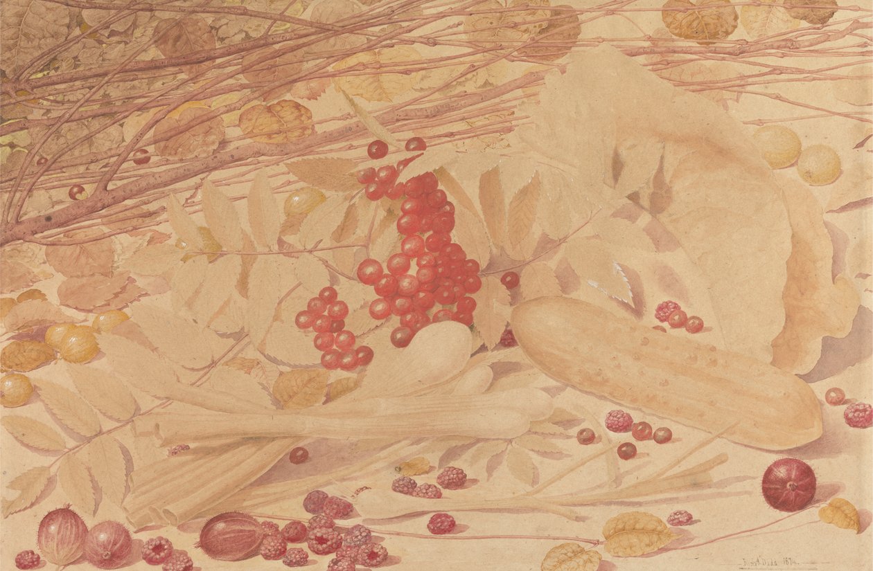 Naturaleza muerta con grosellas espinosas, frambuesas, grosellas rojas, cebolletas, un pepinillo y follaje de Richard Dadd