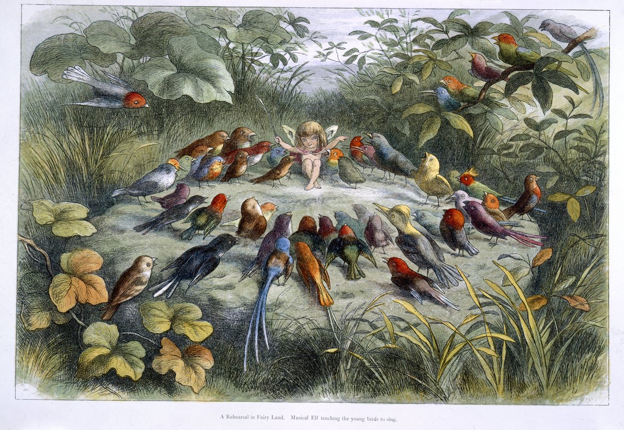 Un duende y pájaros de Richard Doyle