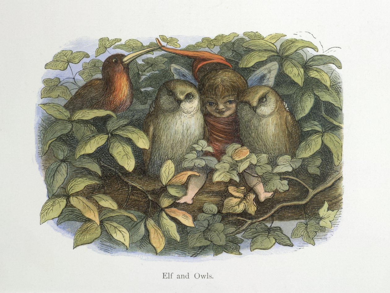 duende y buhos de Richard Doyle