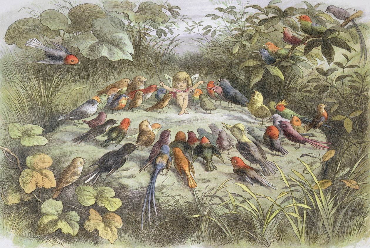 Ensayo musical en el país de las hadas (Ilustración de "En el país de las hadas. Imágenes del mundo de los elfos", de William Allingham y Andrew Lang) de Richard Doyle