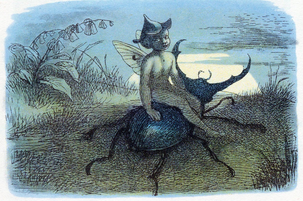 El mensajero de la reina de las hadas, c. 1870 de Richard Doyle