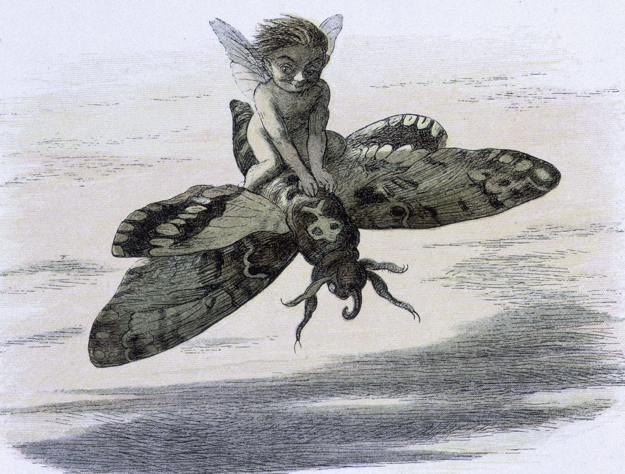 Un elfe chevauchant un papillon. Ilustración de Richard Doyle tiree de ""In Fairy land. Una serie de imágenes del mundo de los elfos"" acompañadas de un poema de W Allingham. 1869-1870. The British Library Institution Referencia: Shelfmark ID: 1876 e18 