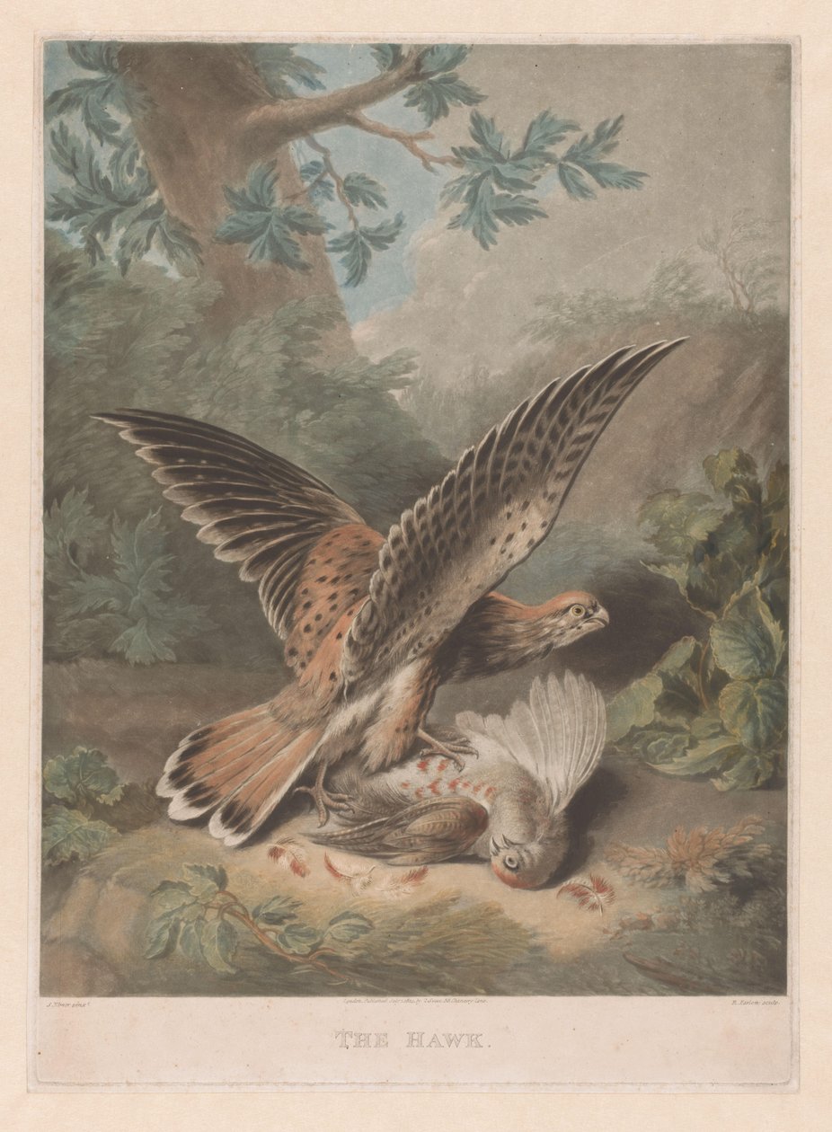 Hawk protege a su presa El halcón (título sobre el objeto) de Richard Earlom