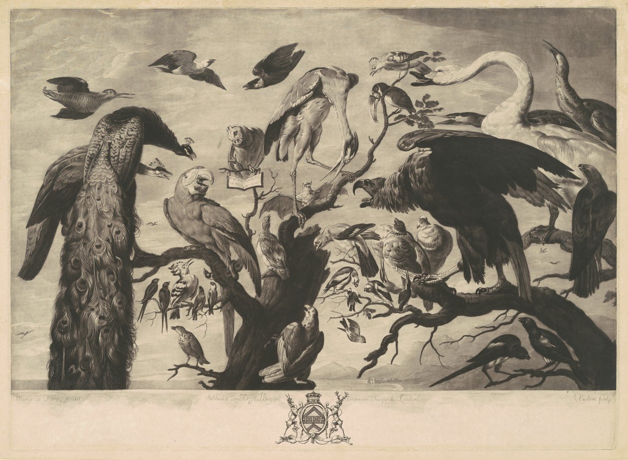 Un concierto de aves de Richard Earlom, after Mario Nuzzi