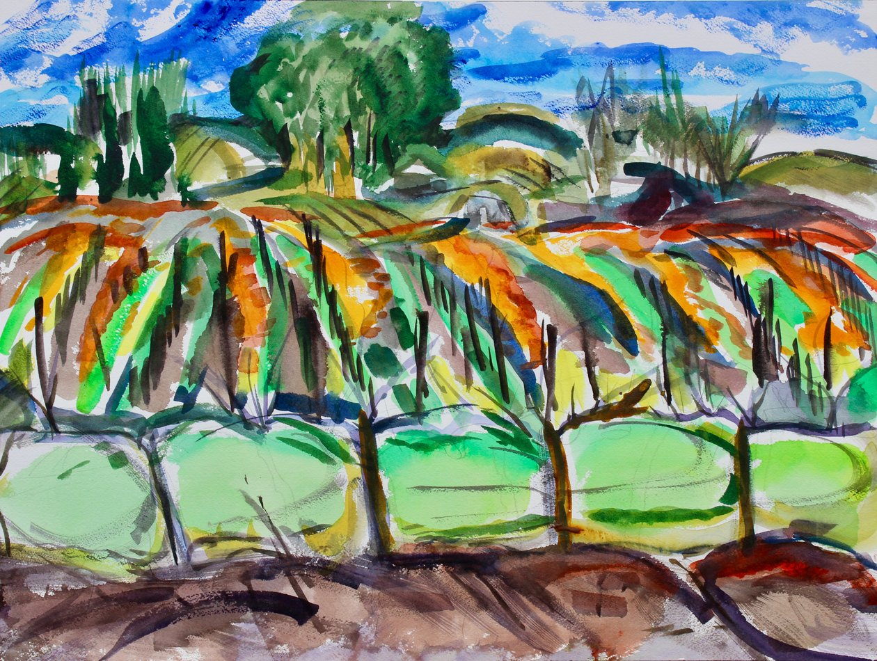 Viñedos de otoño, Napa, 2017 de Richard Fox
