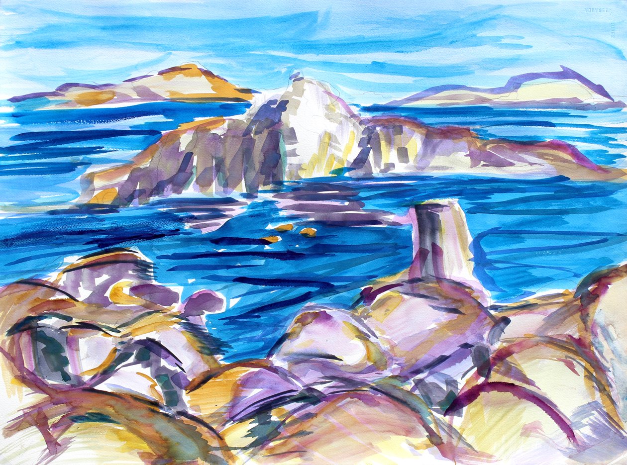 Rocas y reflejos, 2019 de Richard Fox