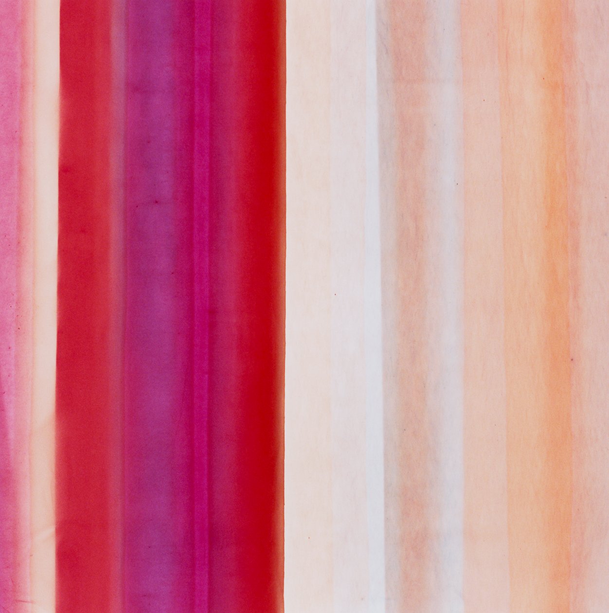 Raya IX, 2005 de Richard Green