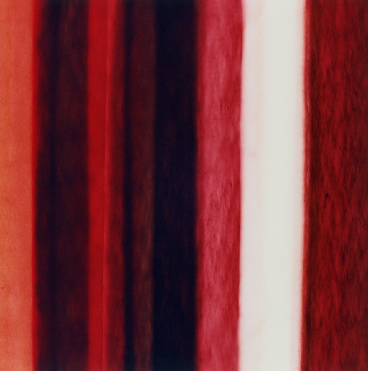 Raya XII, 2005 de Richard Green