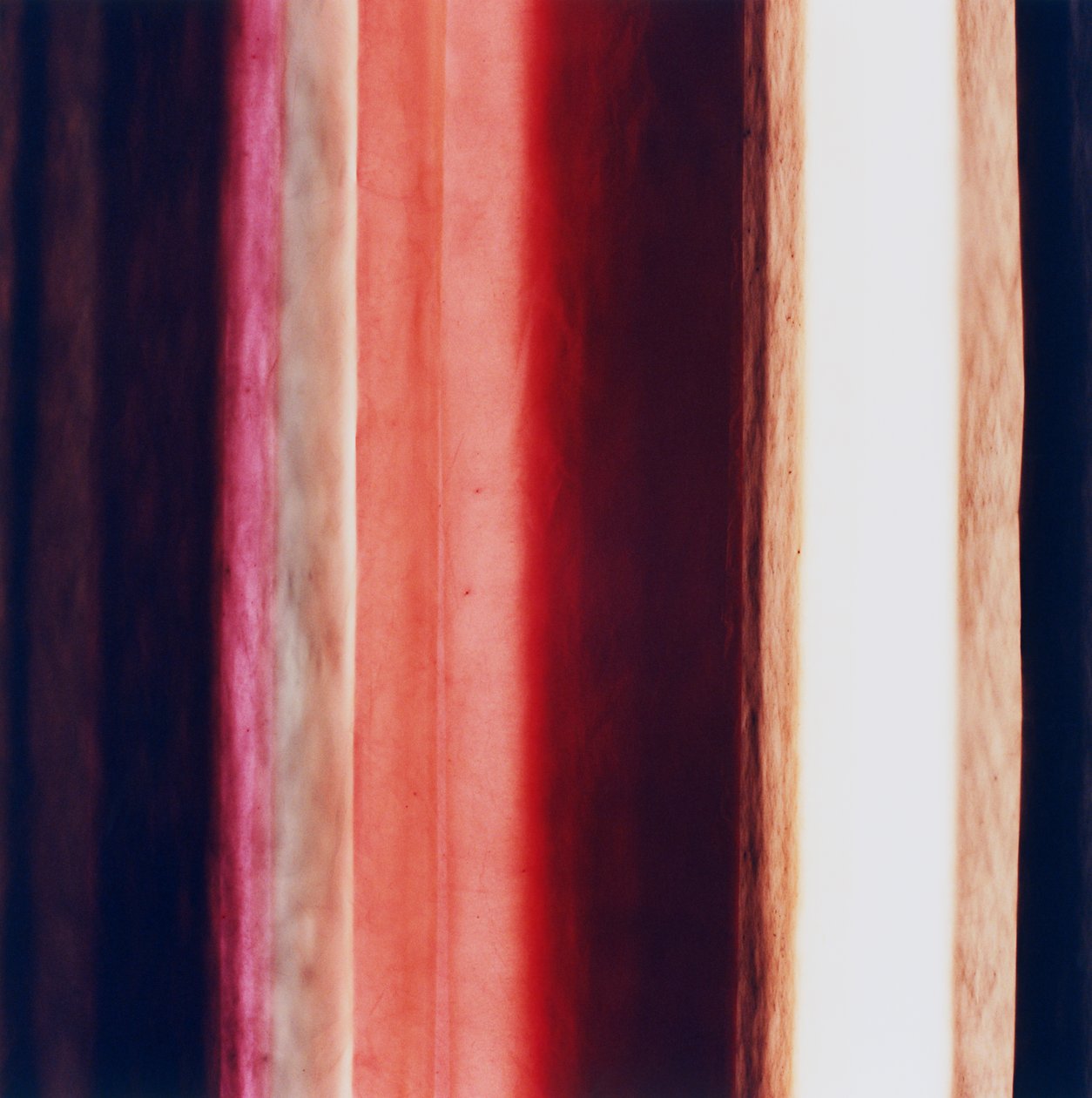 Raya XI, 2005 de Richard Green