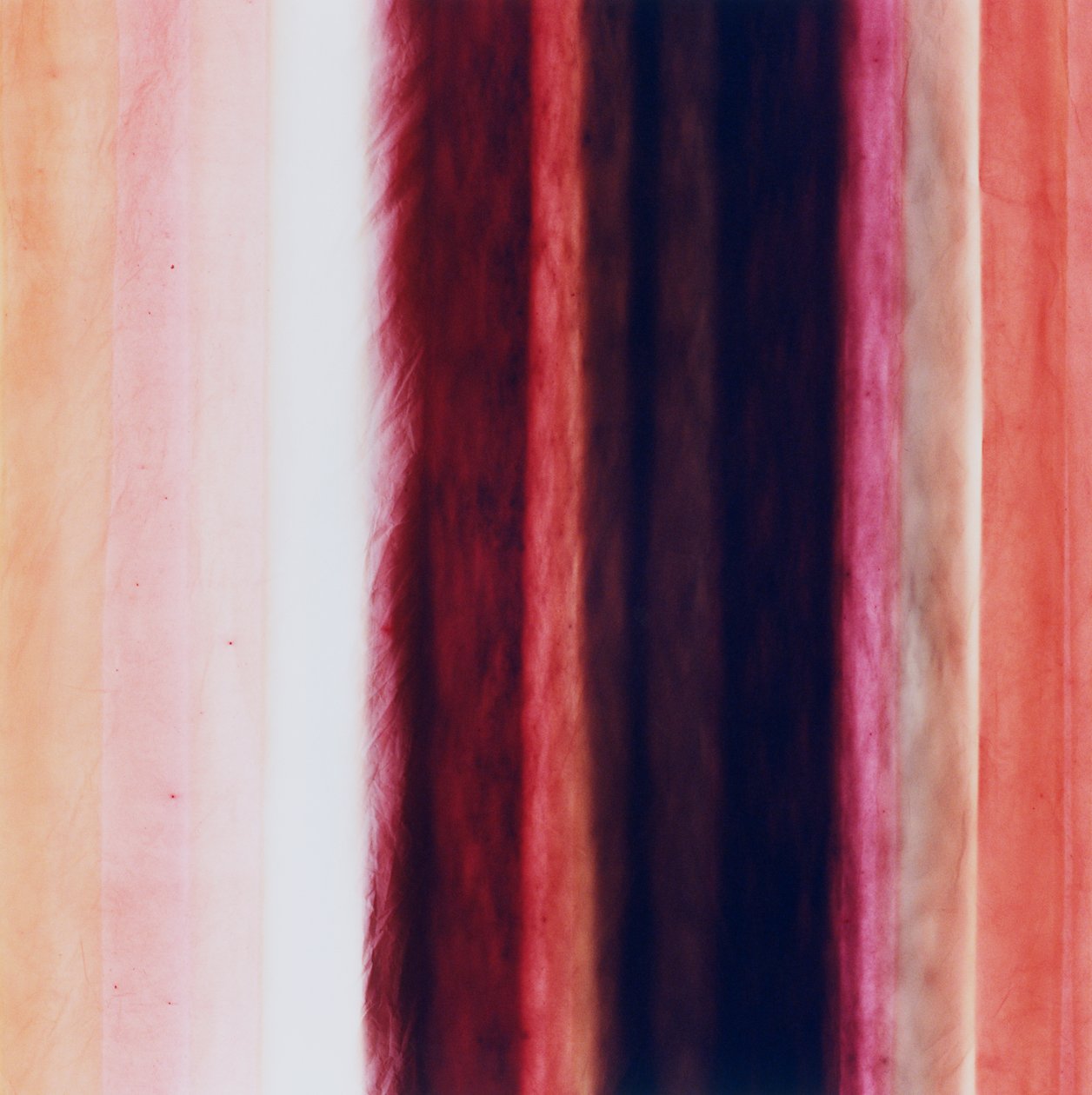 Raya X, 2005 de Richard Green