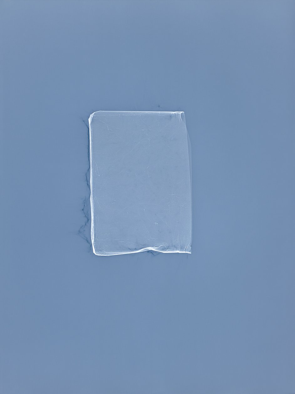 Sin título, 2001 de Richard Green
