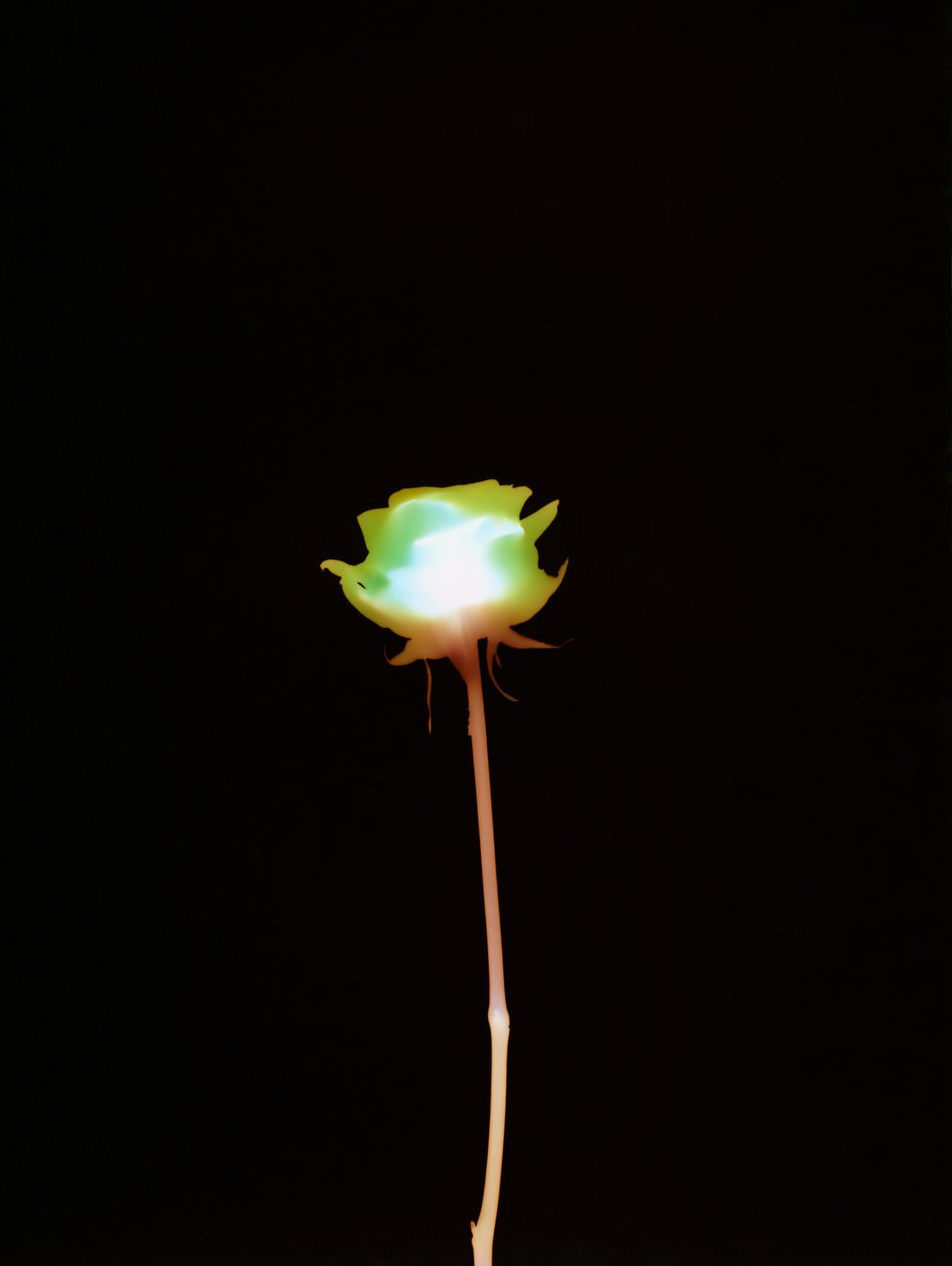 Sin título, 2007 de Richard Green