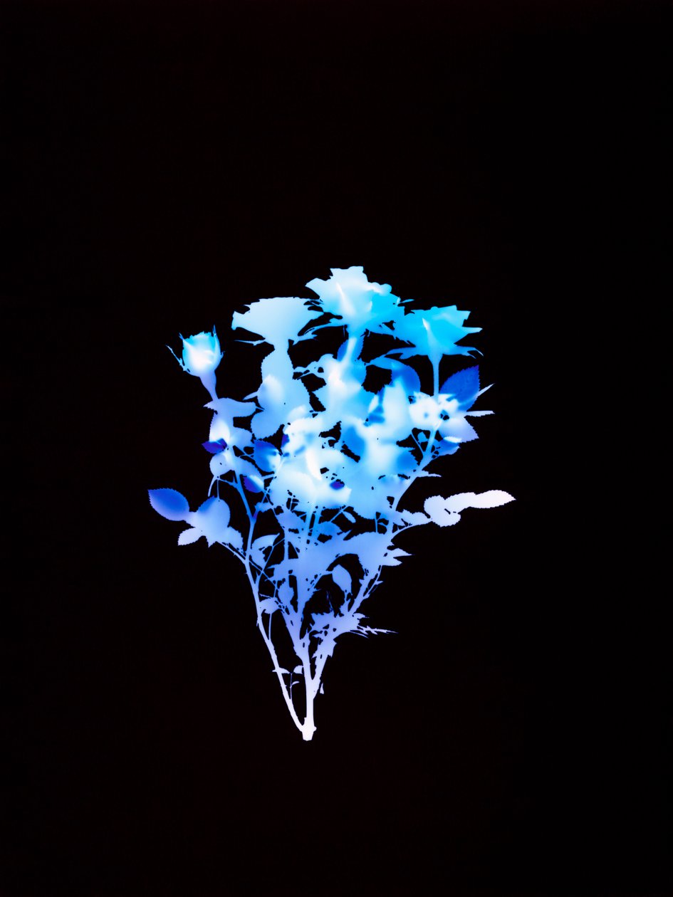 Sin título, 2008 de Richard Green