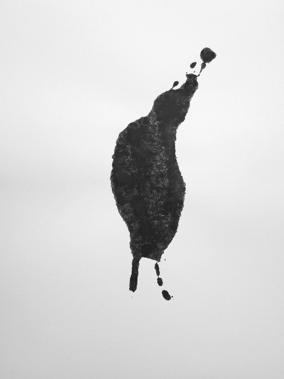 Sin título, 2009 (monotipo) de Richard Green